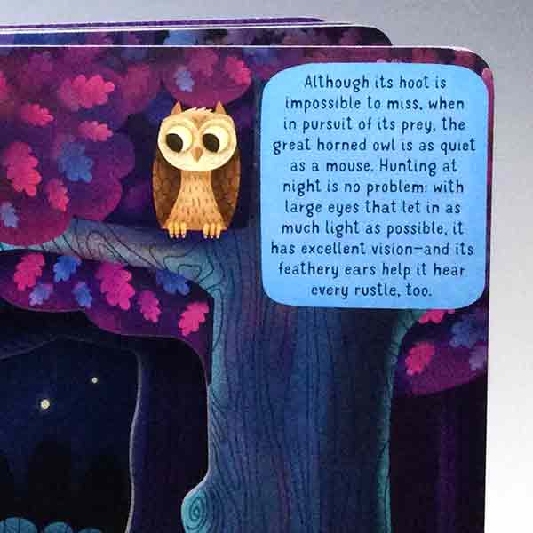 Discovering the Hidden World of Nature at Night - Image 2